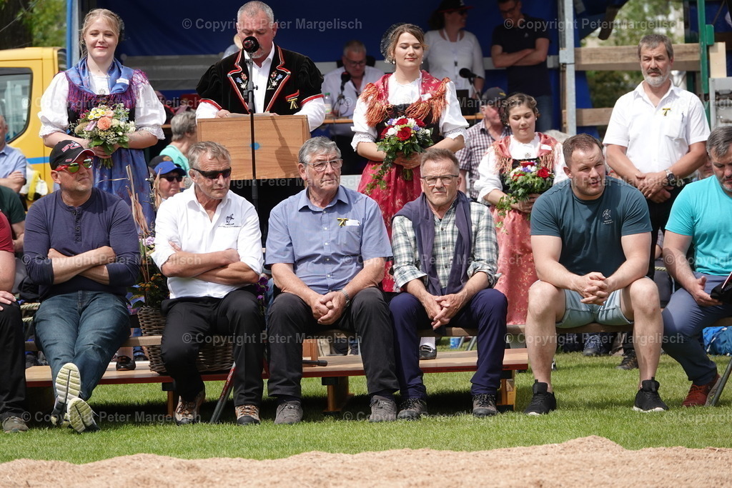 DSC04185 | Schwingen - Realisiert mit Pictrs.com