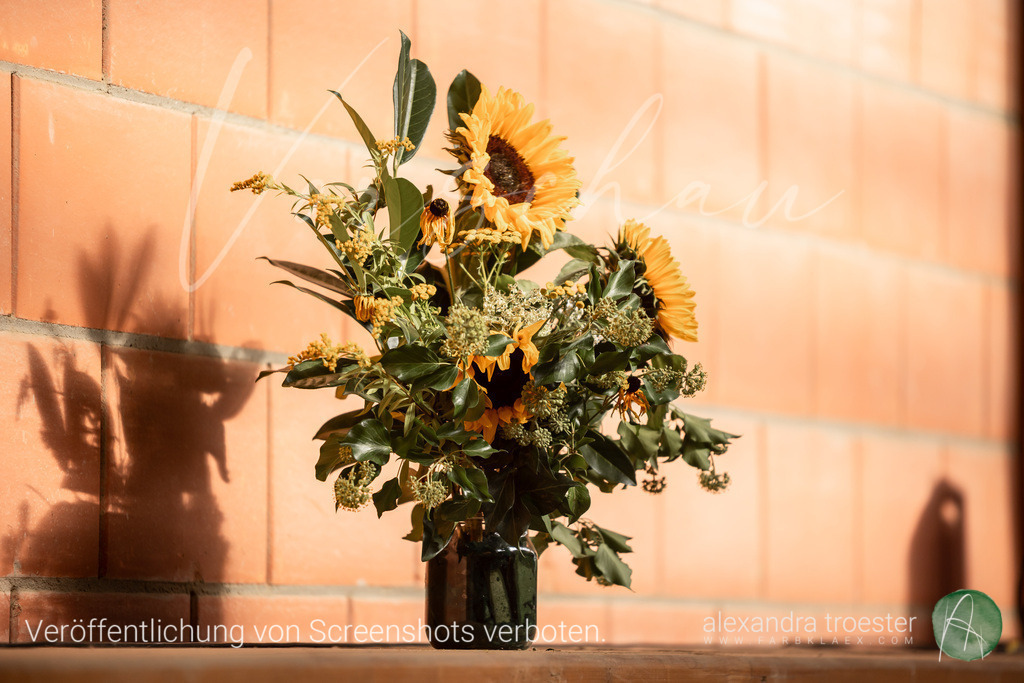 250914_Barop_14_172 | farbklaex.com