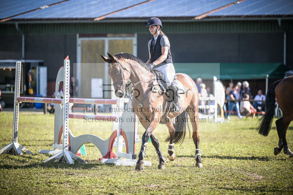 DOS_1006 | Entdecke hochwertige Reitturnierfotos von Foto Oger. Professionell, emotional und authentisch – jetzt Lieblingsmomente im Shop bestellen.Deutschlandweite Turnierfotografie. - Realisiert mit Pictrs.com