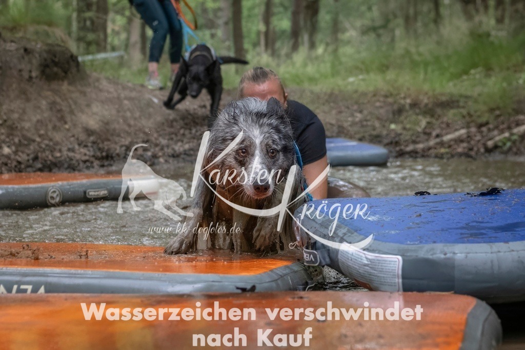 0910_ZZ90615T | kk-dogfotos