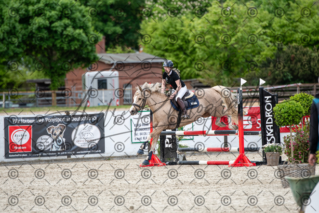 KPT_7387 | andre_photographic