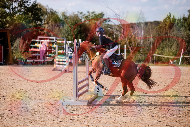 2026_10_03_Siefer-Hof_155757_Z81_77641830 | Professionelle Reitsport-, Turnier- und Eventfotografie von Robert Broda. Galerien mit ausgewählten und bearbeiteten Bildern direkt online ansehen und bestellen.