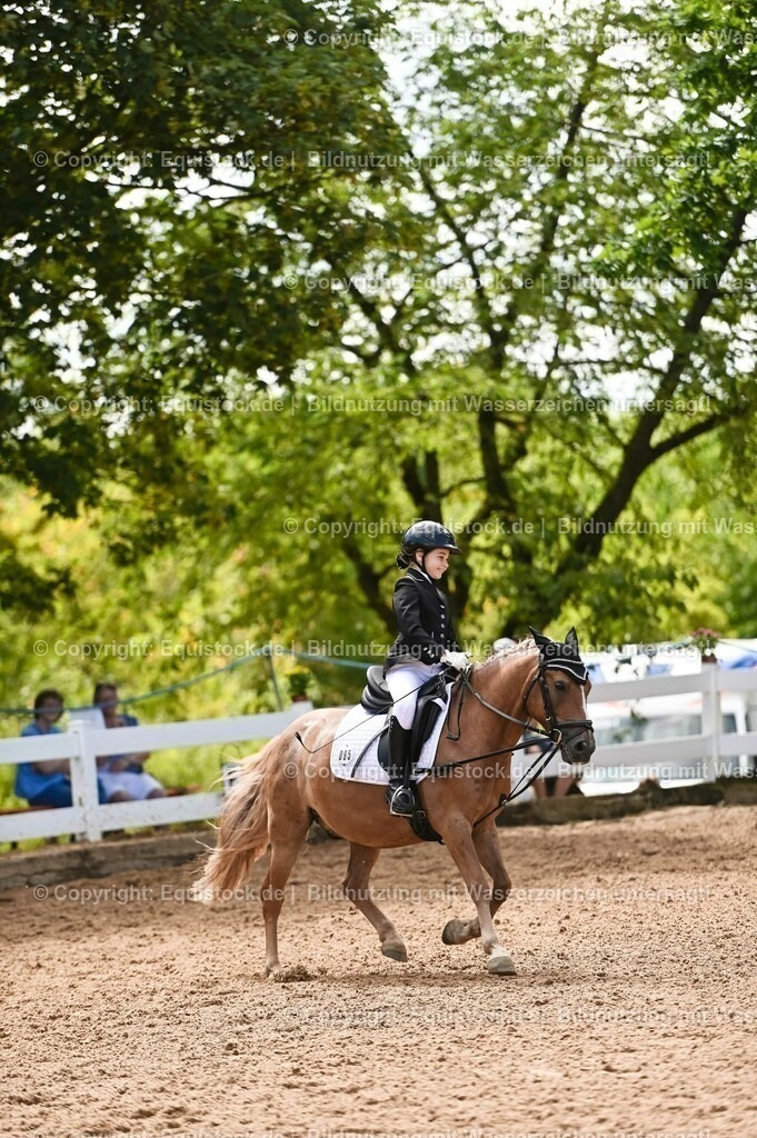 20230716_10-3_Reiter-WB Schritt - Trab - Galopp_0169 | equistock