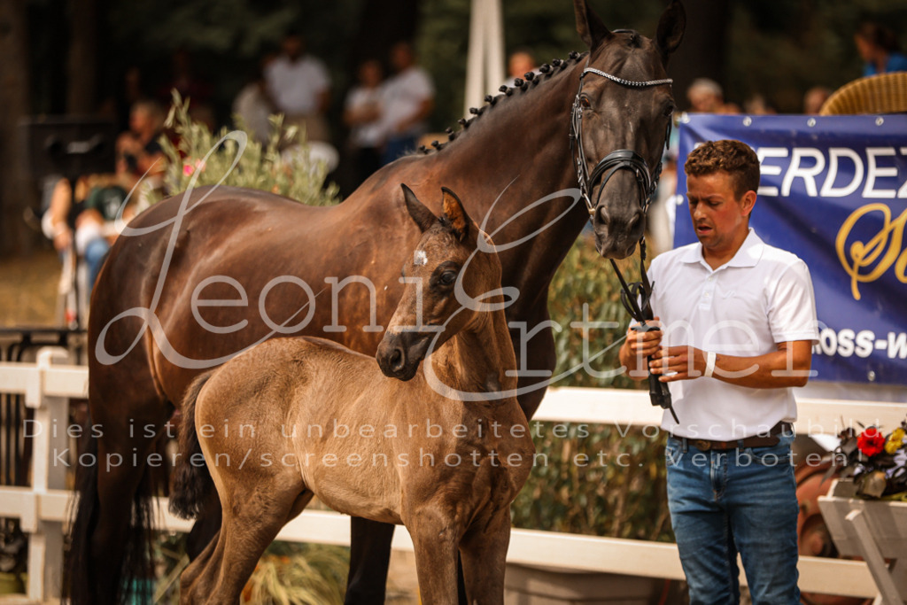 SaPA00058 | Leoni Ertmer Photography - Realisiert mit Pictrs.com