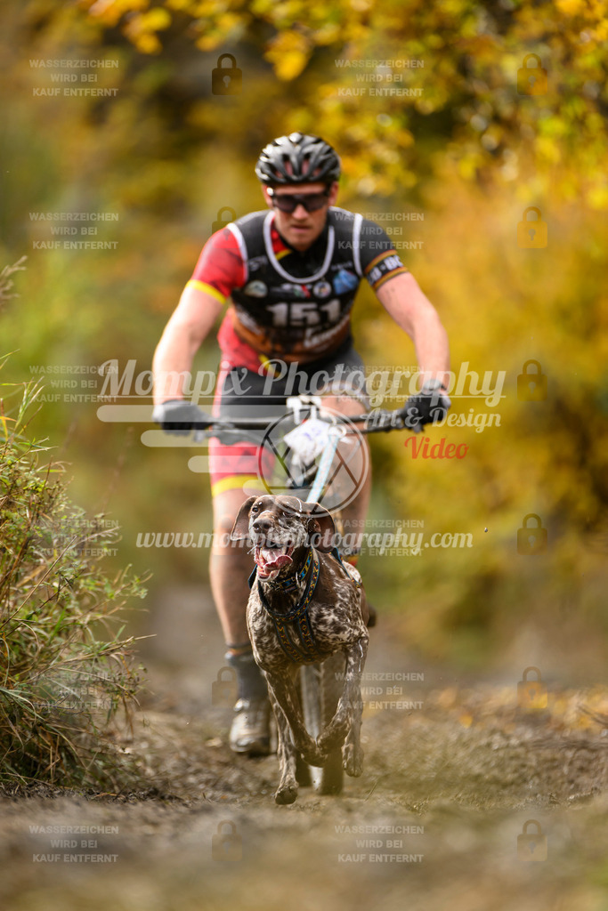 MompixPhotography_ICF_WC_2024_SA_Bike_-186 | PayLife