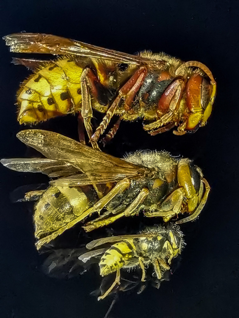 PSX_20230911_223823 | mtkfoto_ - Realisiert mit Pictrs.com