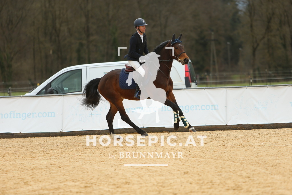 DL2Q1654 | Willkommen bei Brunnmayr - Design & Fotografie – Ihrem Spezialisten für Reitturniere und Pferdeveranstaltungen in Oberösterreich, Salzburg und Bayern! Seit über 17 Jahren sind wir leidenschaftlich dabei.