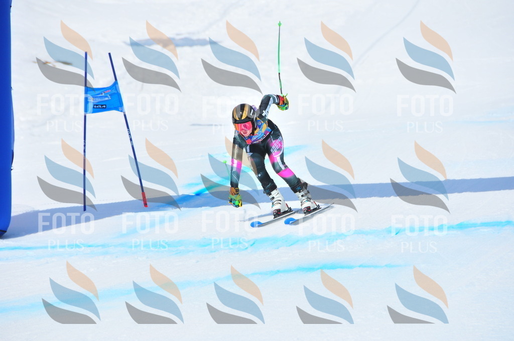 DSC_6880 | holidayphoto