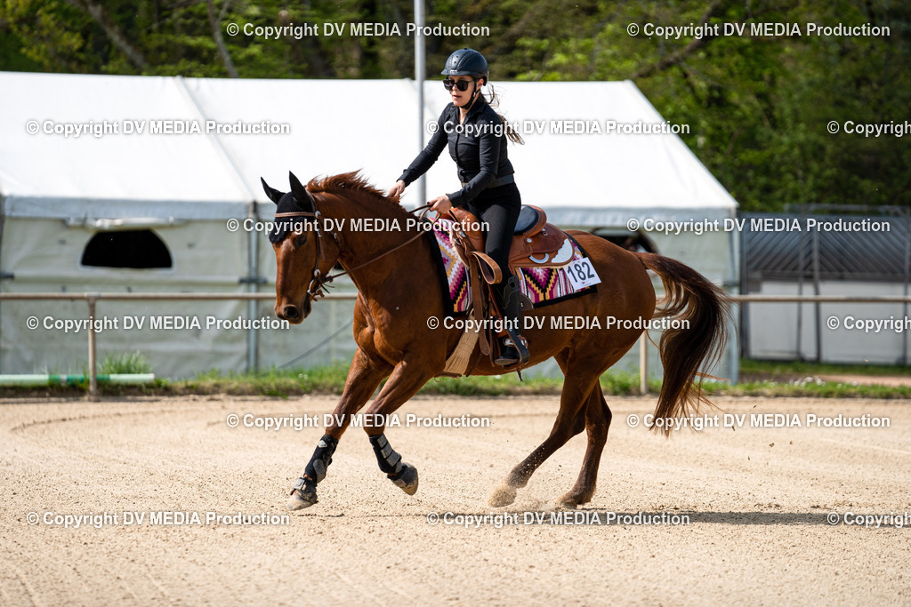 Heiligenwald Tag 2-892 | dv-media-shop - Realisiert mit Pictrs.com