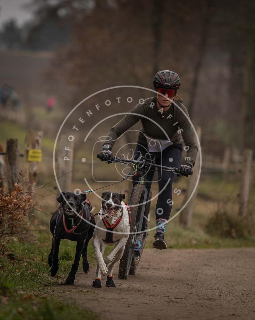 Pfotenfotografie_DV3A3150 | Hundefotografie, Tierfotograf, Pfotenfotografie, Fotoshooting Hund, Hunde Portrait, Hundesport, Hundeportraits, Heideshooting, Hunde, Sportfotograf, Hundefotograf, Turnierhundsport, THS,  - Realisiert mit Pictrs.com