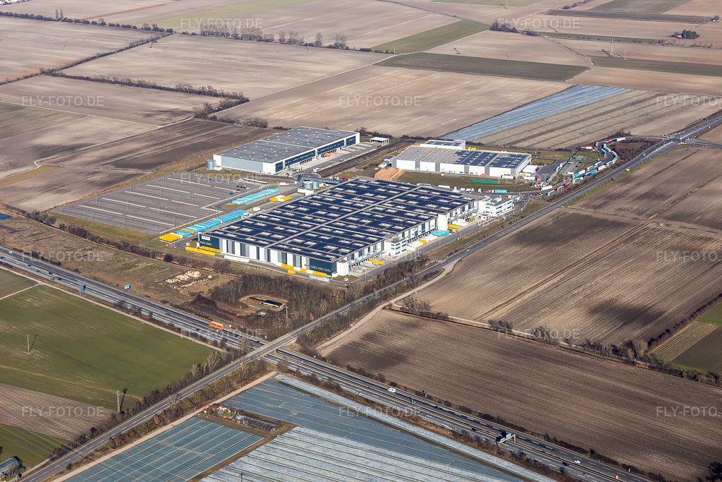 Luftbild: Gebäudekomplex und Gelände des Logistikzentrums der Amazon Logistik Frankenthal GmbH. im Ortsteil Eppstein in Frankenthal im Bundesland Rheinland-Pfalz in Deutschland. Foto: IMG_125426.jpg vom 21.02.2021 durch Werner Riehm/FLY-FOTO.de