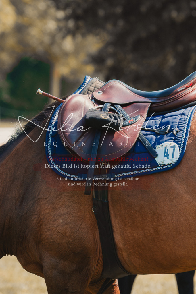 DSC_0609 | Pferde- und Turnierfotografie in Westsachsen. Pferdeportraits, Auftragszeichnungen und intuitive Kunst.