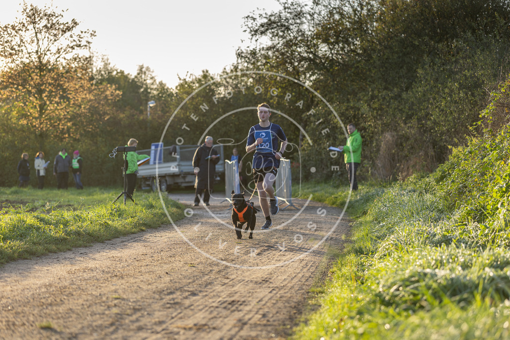 Pfotenfotografie.de_DV3A2409 | Hundefotografie, Tierfotograf, Pfotenfotografie, Fotoshooting Hund, Hunde Portrait, Hundesport, Hundeportraits, Heideshooting, Hunde, Sportfotograf, Hundefotograf, Turnierhundsport, THS, canicross - Realisiert mit Pictrs.com