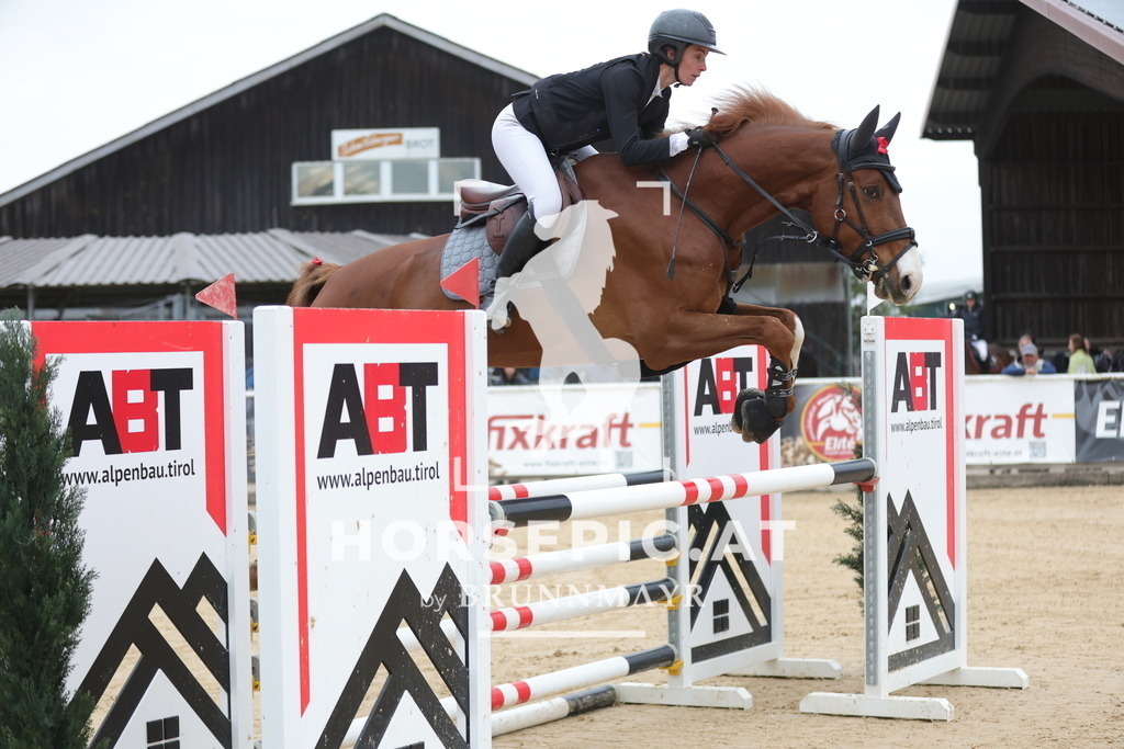 0P6A3134 | Willkommen bei Brunnmayr - Design & Fotografie – Ihrem Spezialisten für Reitturniere und Pferdeveranstaltungen in Oberösterreich, Salzburg und Bayern! Seit über 17 Jahren sind wir leidenschaftlich dabei.