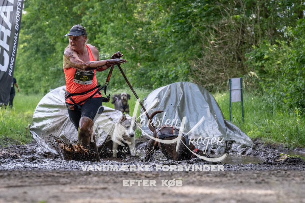 1239_ZZ92825 | kk-dogfotos