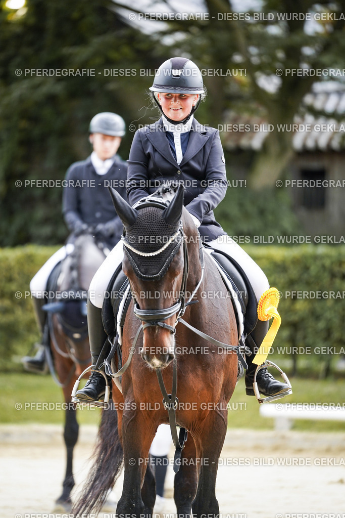 DSC04962 | Pferdegrafie