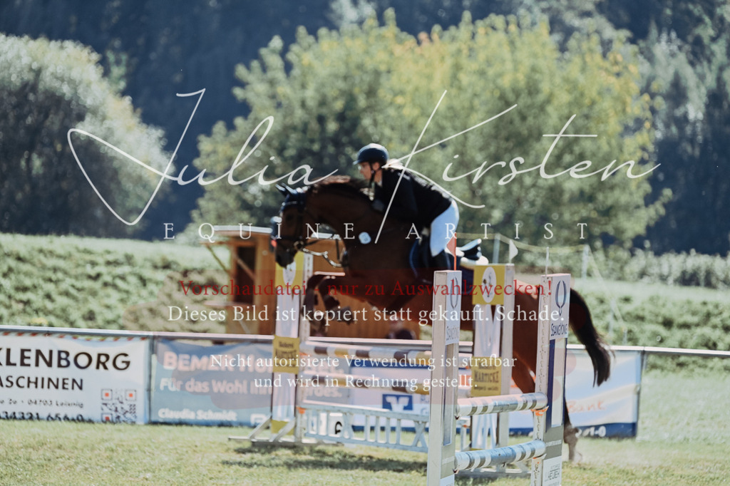 DSC_5794 | Pferde- und Turnierfotografie in Westsachsen. Pferdeportraits, Auftragszeichnungen und intuitive Kunst.