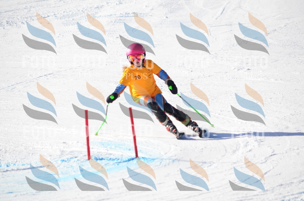 C5876 | holidayphoto