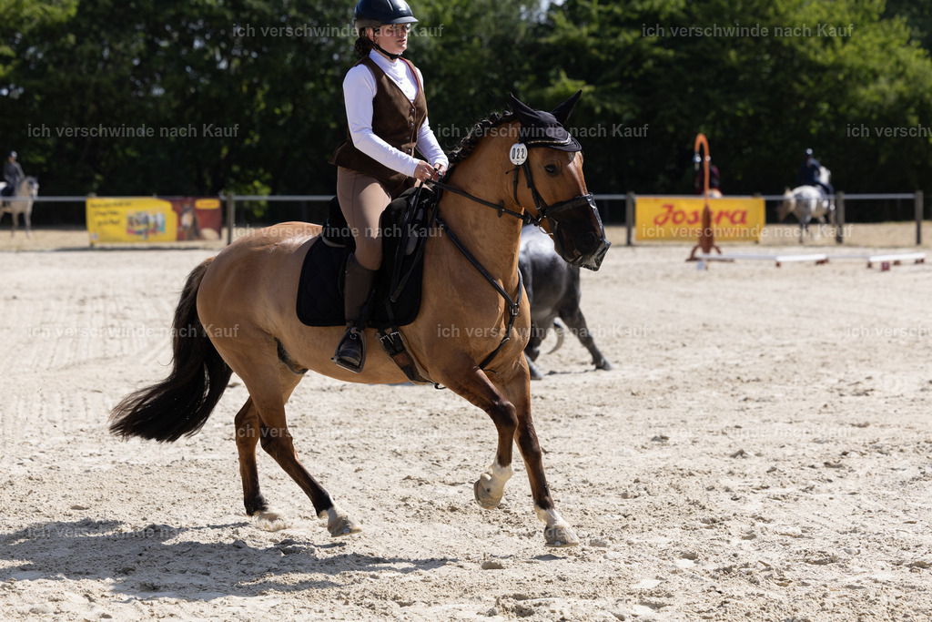 WA_Trail_22_KerstinBernhardt-11 | working equitationturnier fotograf videograf stoibphotography marixx film working equitation deutschland reitsport turnierfotografie eventfotografie equestrian events