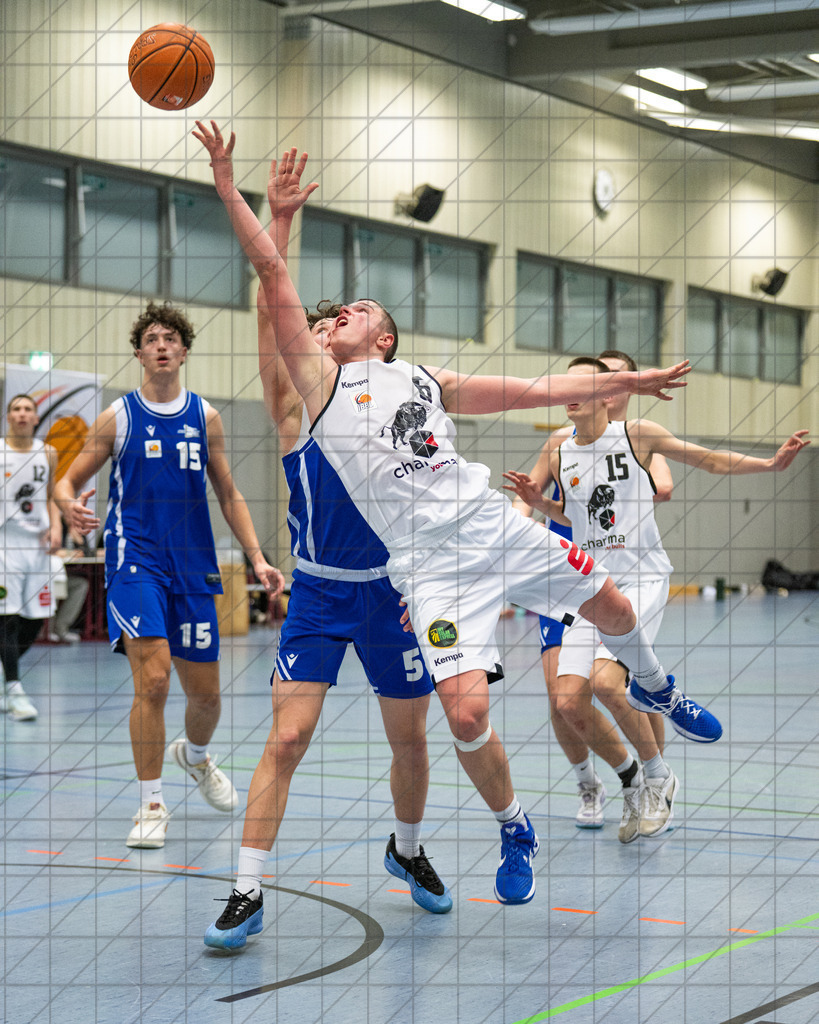 JBBL PlayOffs Nord 25/26 | Spieltag 16 | Charisma Young Bulls vs. Sience City Jena | 13.03.26: JBBL PlayOffs Nord 25/26 | Spieltag 16 | Charisma Young Bulls vs. Sience City Jena / Osnabrück / Deutschland  //   CREDIT:www.bullenfotos.de, Martin König, Hörner Weg 40, D-49078 Osnabrück, +4917663732967 // Nutzung und Weitergabe nur zu den vereinbarten Zwecken. Presseanfragen an Ersteller. Alle Rechte beim Ersteller. Honorierung nach MFM. - Realisiert mit Pictrs.com