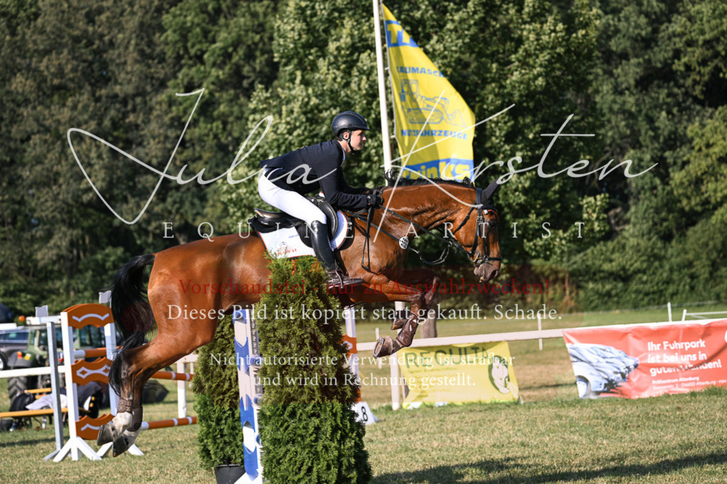 DSC_1699 | Pferde- und Turnierfotografie in Westsachsen. Pferdeportraits, Auftragszeichnungen und intuitive Kunst.