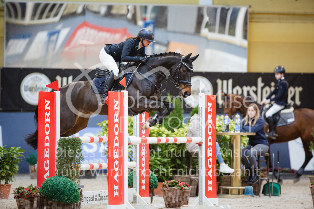 221112_Warstein_L-Spr-244 | Deine schönsten Turniermomente als professionelle Fotos! Entdecke hochwertige Pferdesport-Fotografie im Online-Shop. Jetzt Fotos finden & bestellen!