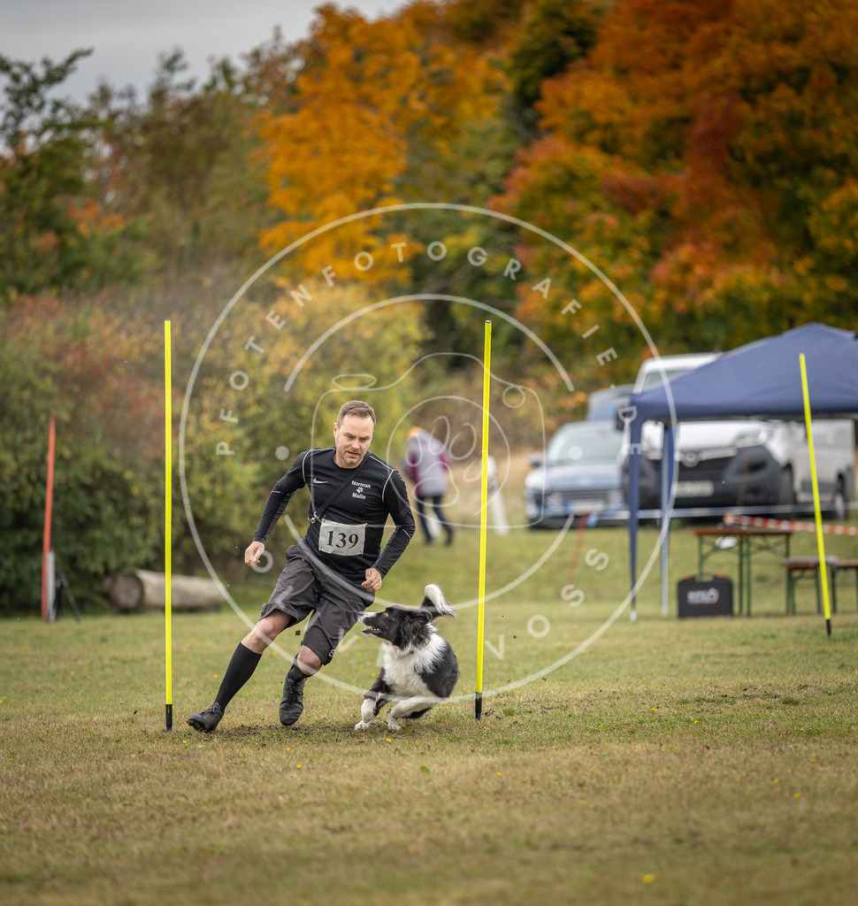 Pfotenfotografie_DV3A8275 | Hundefotografie, Tierfotograf, Pfotenfotografie, Fotoshooting Hund, Hunde Portrait, Hundesport, Hundeportraits, Heideshooting, Hunde, Sportfotograf, Hundefotograf, Turnierhundsport, THS,  - Realisiert mit Pictrs.com
