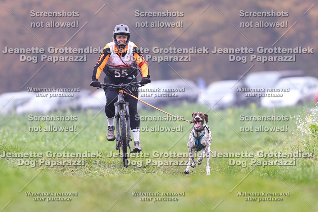 Dog Paparazzi - Visbeck 25 -151 | Dog Paparazzi Jeanette Grottendiek Fotografie & Videografie - Realisiert mit Pictrs.com
