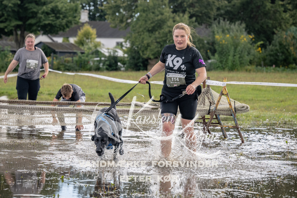 1457_ZZ90471 | kk-dogfotos