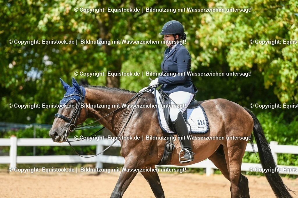 20230716_01_Dressurprüfung Kl.M_0314 | equistock