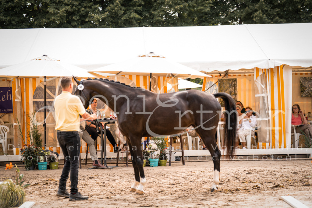 7.Fr00083 | Leoni Ertmer Photography - Realisiert mit Pictrs.com