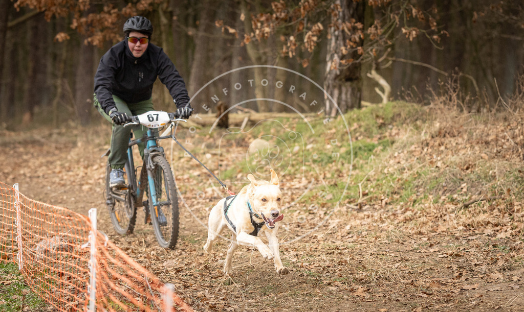 Pfotenfotografie_DV3A3426 | Hundefotografie, Tierfotograf, Pfotenfotografie, Fotoshooting Hund, Hunde Portrait, Hundesport, Hundeportraits, Heideshooting, Hunde, Sportfotograf, Hundefotograf, Turnierhundsport, THS,  - Realisiert mit Pictrs.com