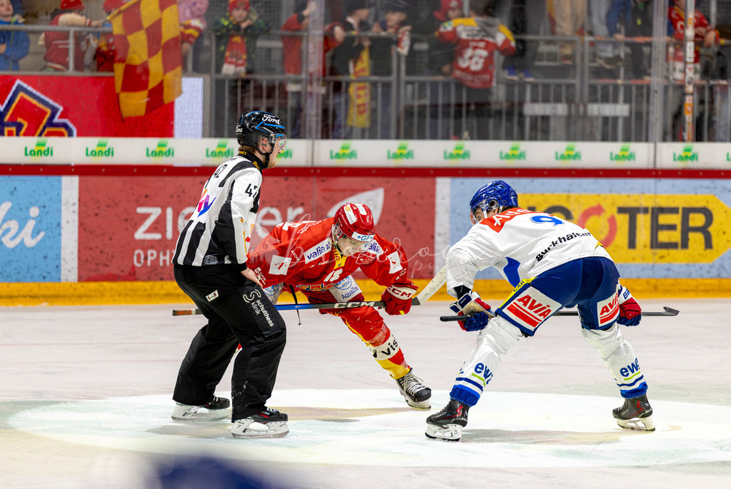 EHCB vs GCK _1-928983552 | Sportbilder, Sportfotograf, Hochzeits- und Eventfotografin, Flugshows, Portraits und Tiershooting, Aviation, Downhill, Nationalleague, Swissleague, International