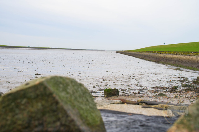 _DSC8998 | Shop für Prints Landschaftsfotografie Sächsische Schweiz Naturfotografie in Thüringen Fotos vom Findlingspark Nochten Kloster Sankt Marienstern Bilder Festung Königstein PanoramaRhododendronpark Kromlau FotogalerSchleswig-Holstein Küstenlandschaften