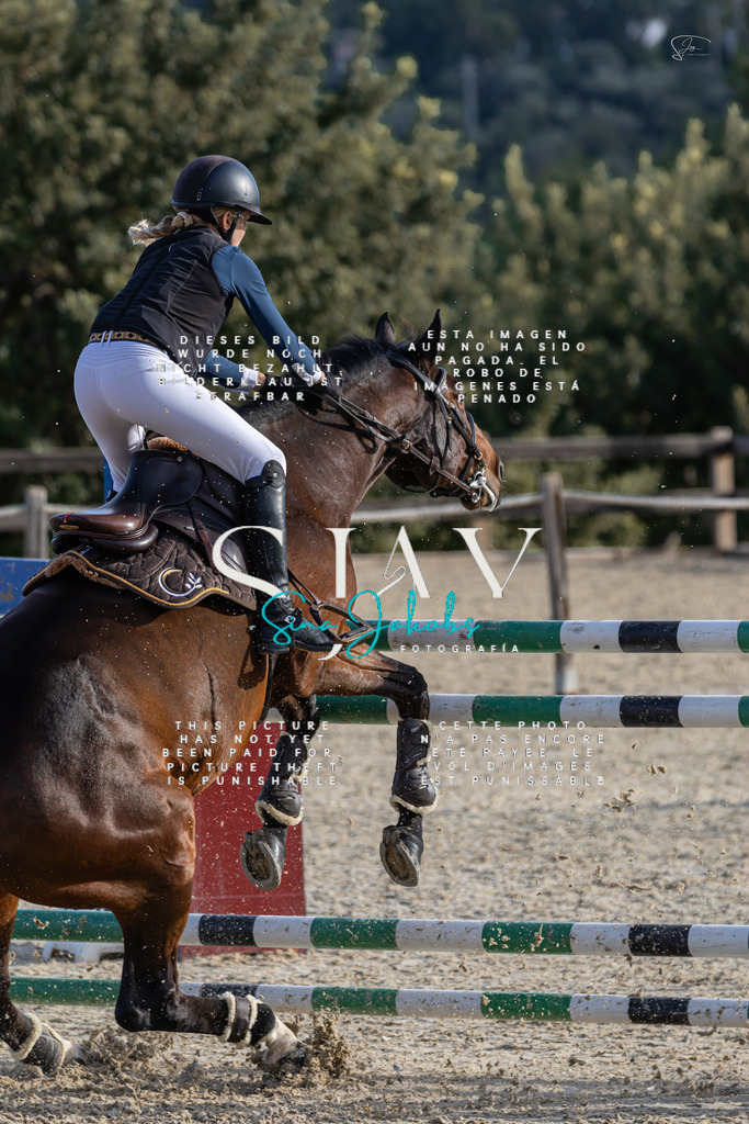 IMG_0306 | s-jay-photography - Realisiert mit Pictrs.com