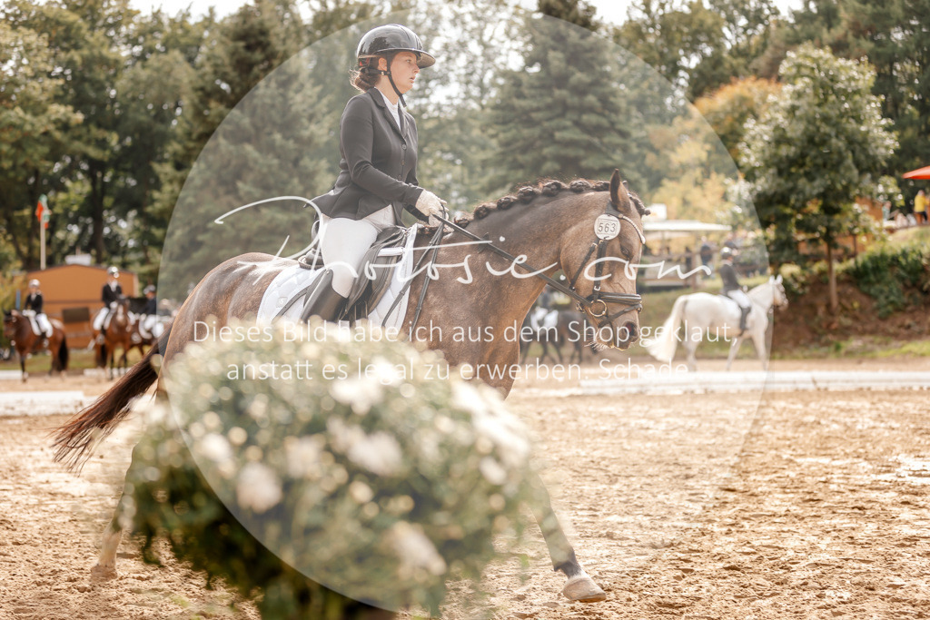 3I6A7546 | Stimmungsvolle Portraits und Reitsportfotografie im Ruhrgebiet und im Münsterland.

Pferdefotografie, Hundefotografie, Tierfotografie, Reportagen, Portraits von Tier und Mensch, Turnierfotografie in Bochum, Recklinghausen, Marl, Haltern am See, Dülmen.. - Realisiert mit Pictrs.com
