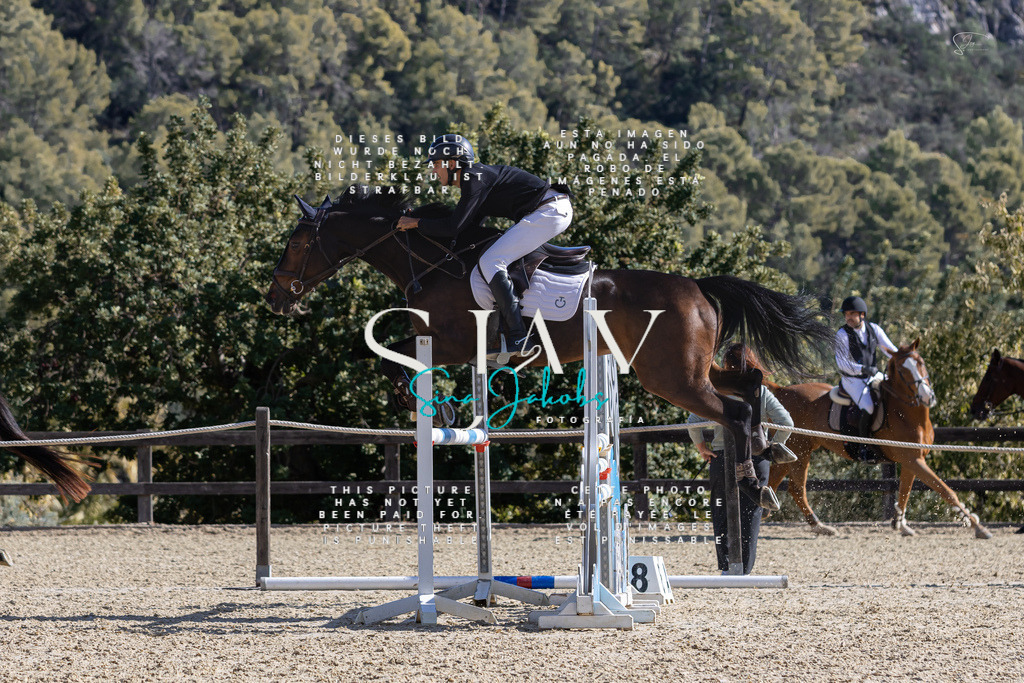 IMG_0314 | s-jay-photography - Realisiert mit Pictrs.com