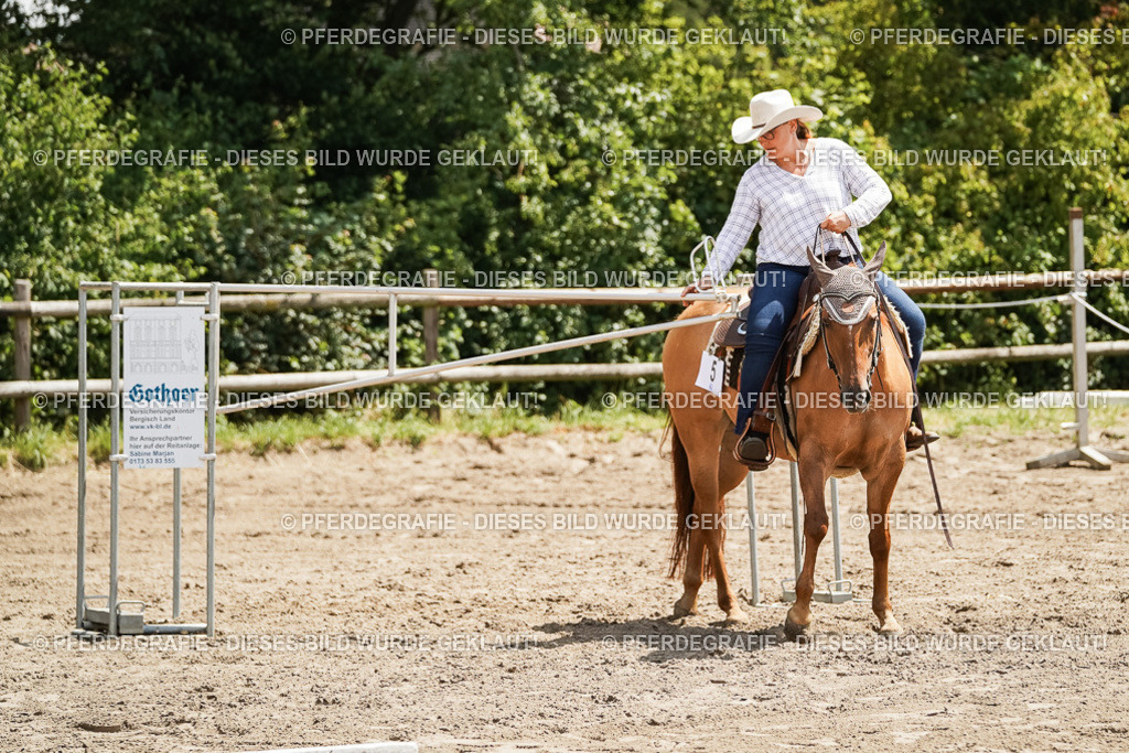 DSC07826 | Pferdegrafie