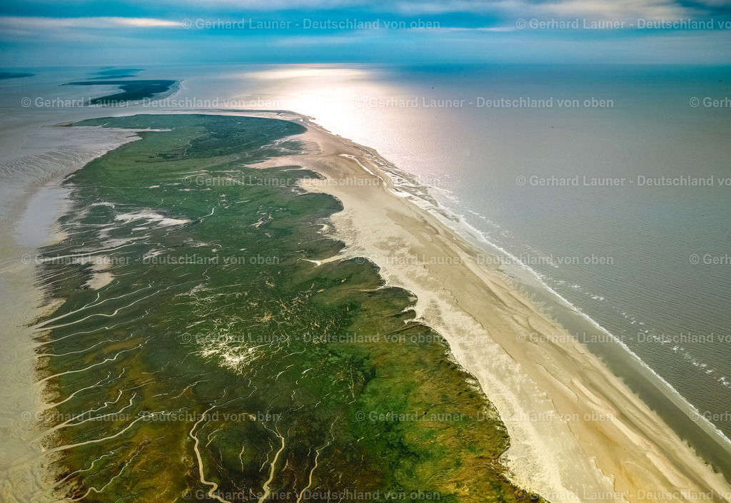 3091106 | Spiekeroog Nationalpark Niedersächsisches Wattenmeer