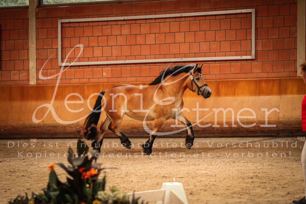 SaFL00186 | Leoni Ertmer Photography - Realisiert mit Pictrs.com