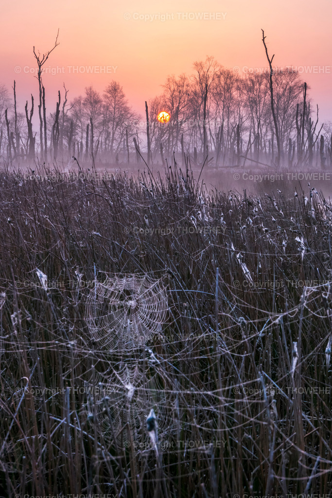 _2800748 | thowehey - Realisiert mit Pictrs.com