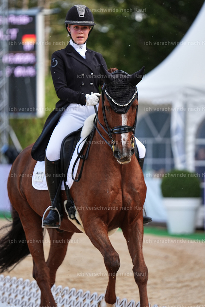 10-061-ST.GEORG SPECIAL -Marixx-3324 | working equitationturnier fotograf videograf stoibphotography marixx film working equitation deutschland reitsport turnierfotografie eventfotografie equestrian events