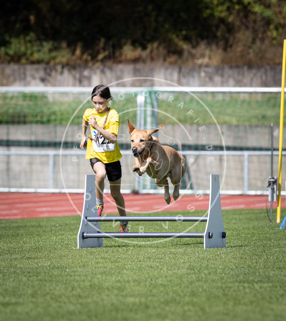 Pfotenfotografie_DV3A8507 | Hundefotografie, Tierfotograf, Pfotenfotografie, Fotoshooting Hund, Hunde Portrait, Hundesport, Hundeportraits, Heideshooting, Hunde, Sportfotograf, Hundefotograf, Turnierhundsport, THS,  - Realisiert mit Pictrs.com
