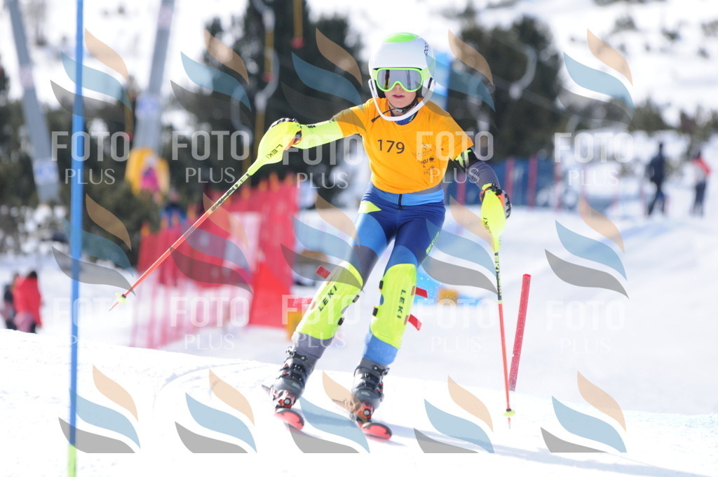 C7423 | holidayphoto