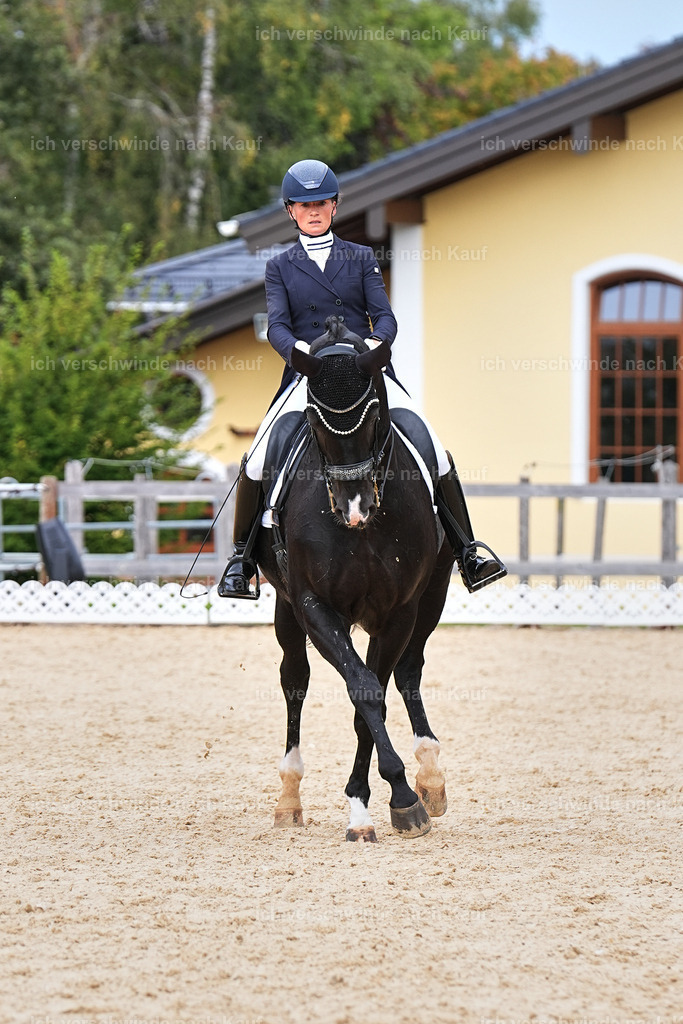 11-042-Dressur S___-StoibPH-1179 | working equitationturnier fotograf videograf stoibphotography marixx film working equitation deutschland reitsport turnierfotografie eventfotografie equestrian events