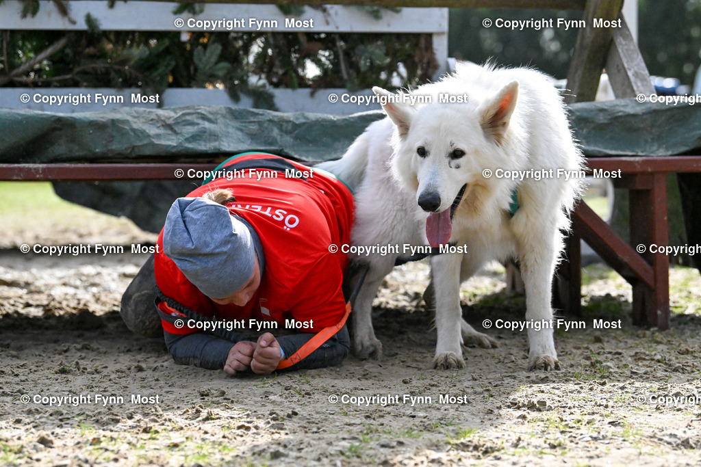 DSC_6272 | Hallo und herzlich Willkommen auf meiner Shop-Seite Fynn Most.

Ich wünsche Dir viel Spaß beim stöbern durch die Bilder, wenn Du Fragen hast oder Bilder vermisst, kannst du mir gerne eine Nachricht schreiben. - Realisiert mit Pictrs.com