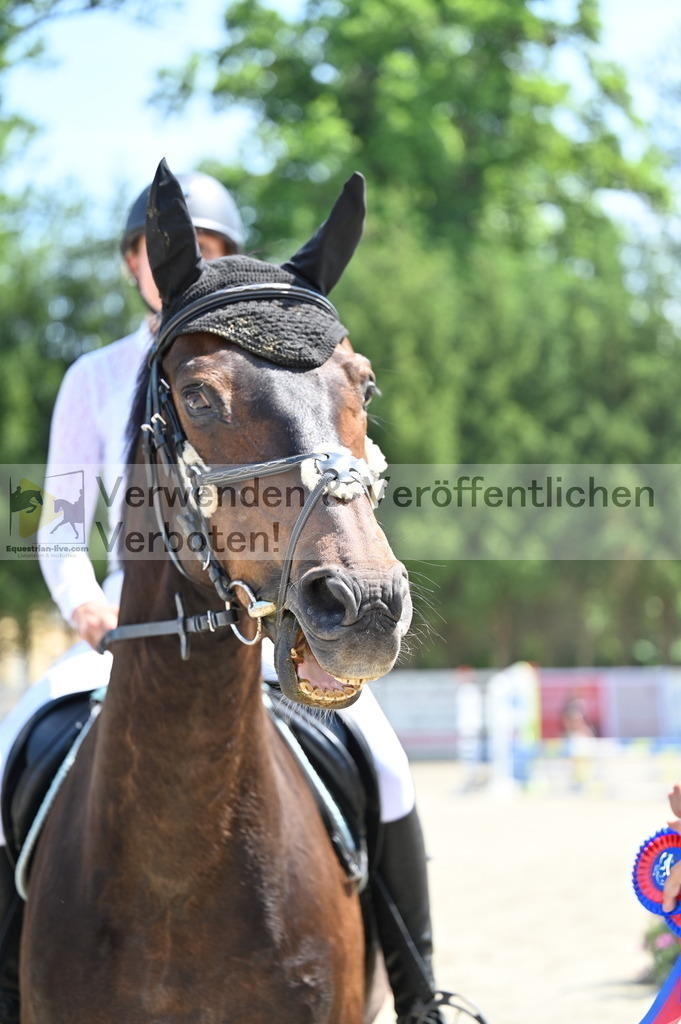 DSC_4256 | equestrian-live-com