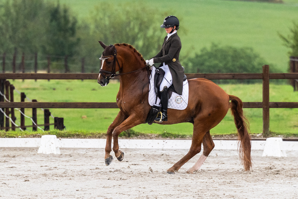 Luxembourg Dressage Championship 2025 - Senior League A (Elite) | Luxembourg Dressage Championship 2025 - Mandy Zimmer on Dragon Welt - Realisiert mit Pictrs.com