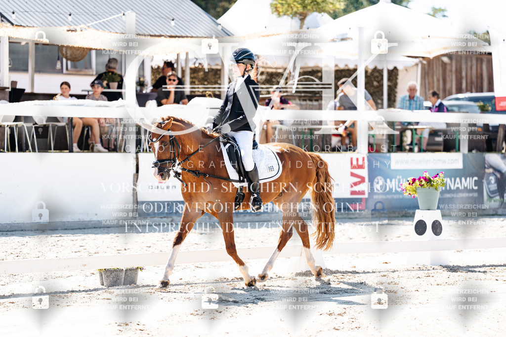 CK902267 | Turnierfotografie Pferdefotografie Trier Rheinland-Pfalz Pferdesport Reitsport Tierfotografie Sportfotografie Pferdevideo Pferdevideografie Equestrianvideography equestrianphotography  - Realisiert mit Pictrs.com