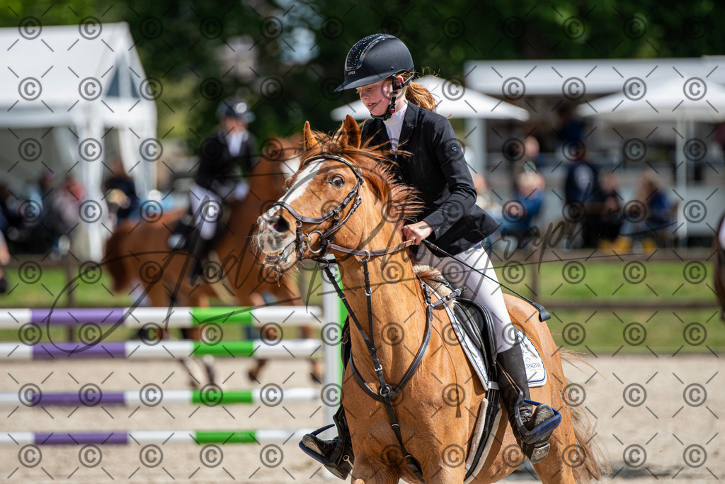 KPT_5140 | andre_photographic